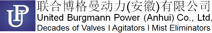 联合博格曼动力（安徽）有限公司